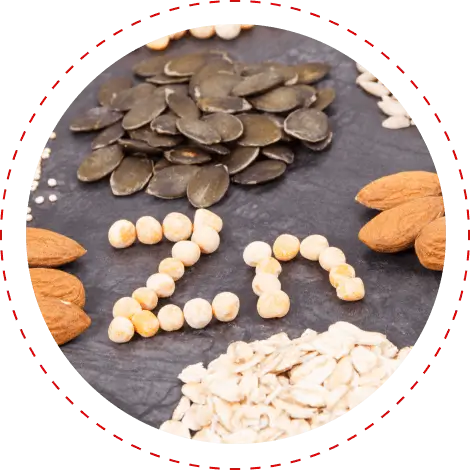 Foods and seeds representing zinc